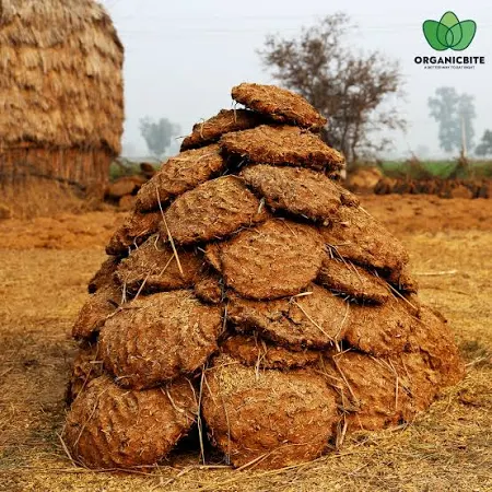 Cow Dung Background